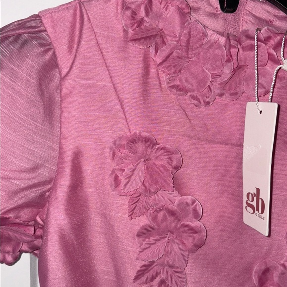 Gb Girls Spring Easter Floral Appliqué Fit and Flare Pink Dress Size 7 NWT - Picture 3 of 6